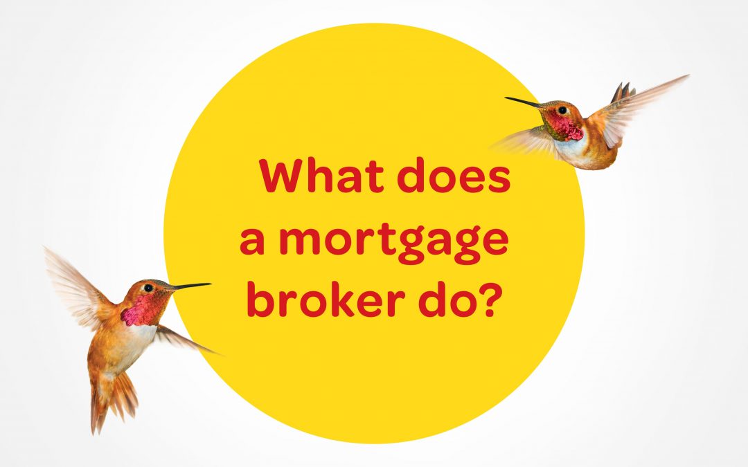 What does a broker do